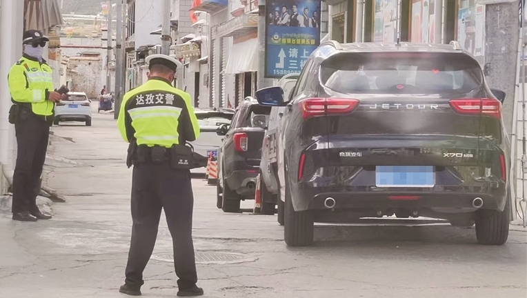 停车若“任性” 交警必严查