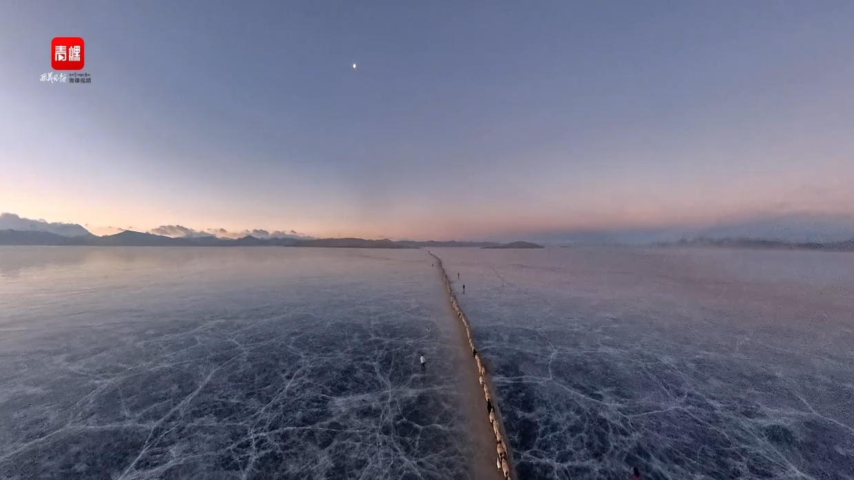 普莫雍错 “蓝冰之约”赶羊活动如约而至