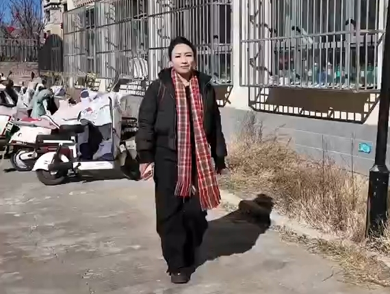 新年“马”上开唱，小编来更新你的藏语歌单啦