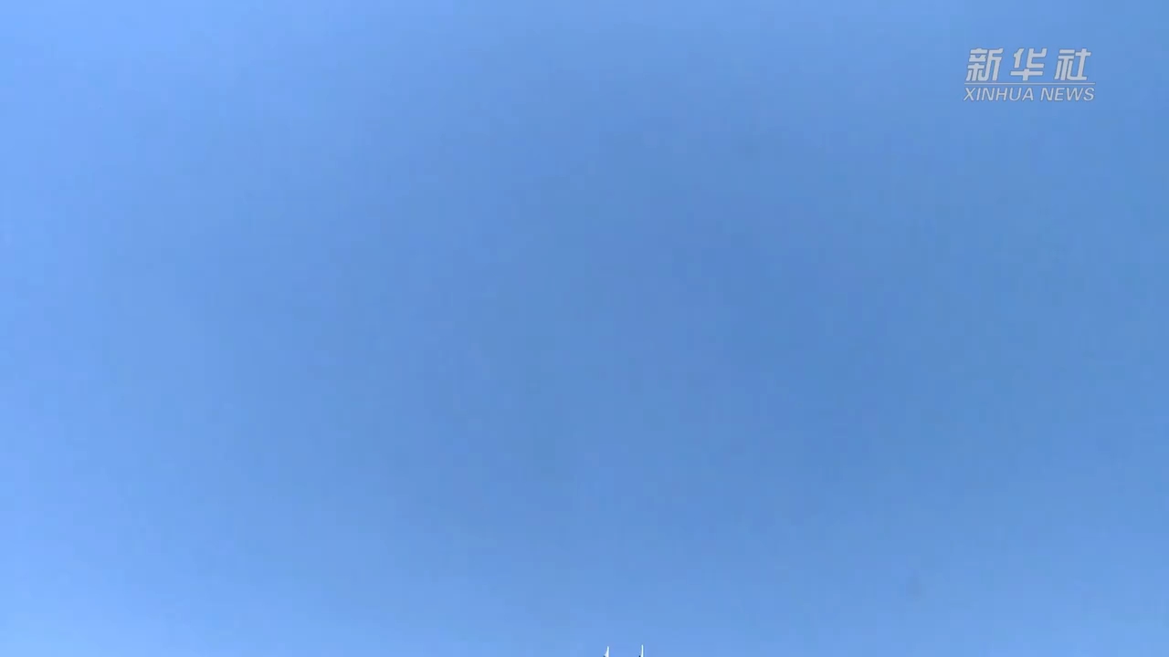 巴基斯坦总统向中国人民致以新春问候