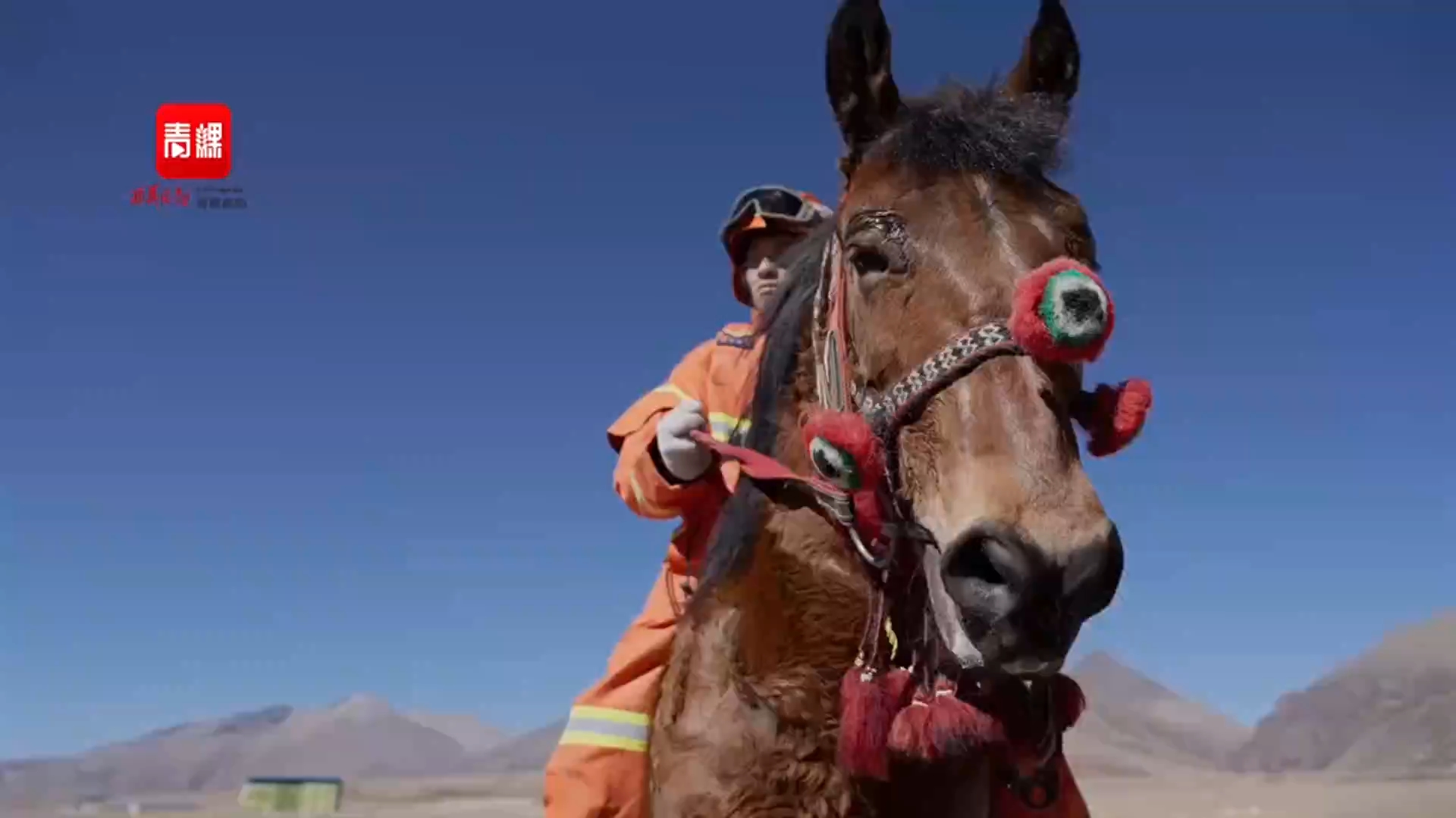 拉萨消防救援支队给您拜年啦