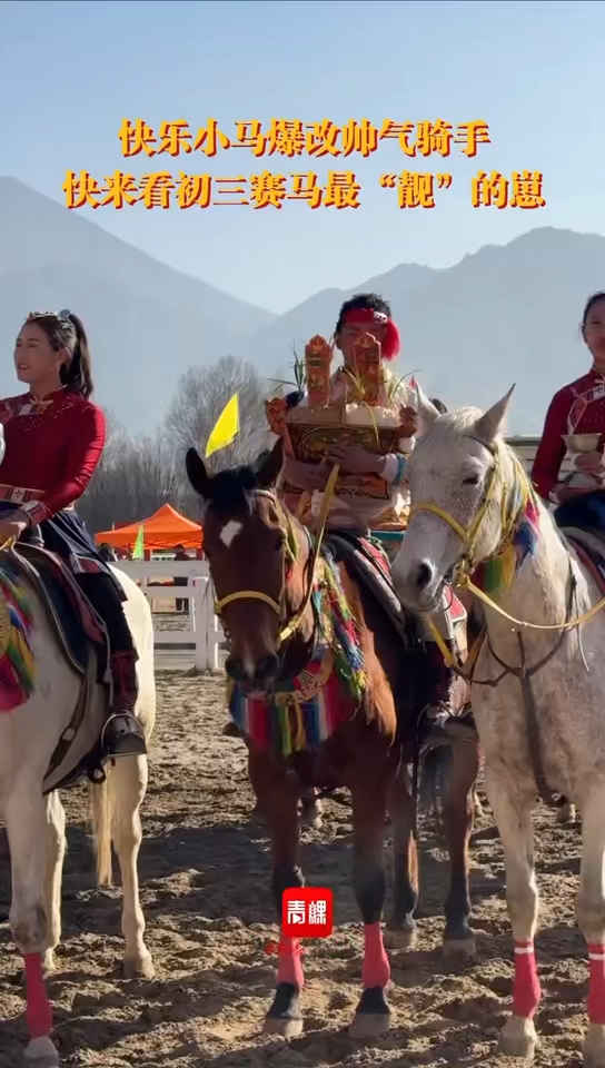 快来看初三赛马最“靓”的崽