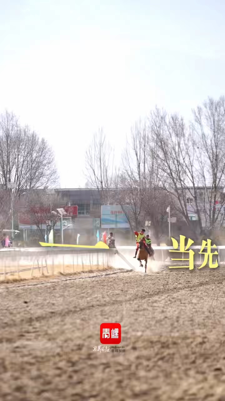 藏历初三赛马，把吉祥成语“演”进赛场里！