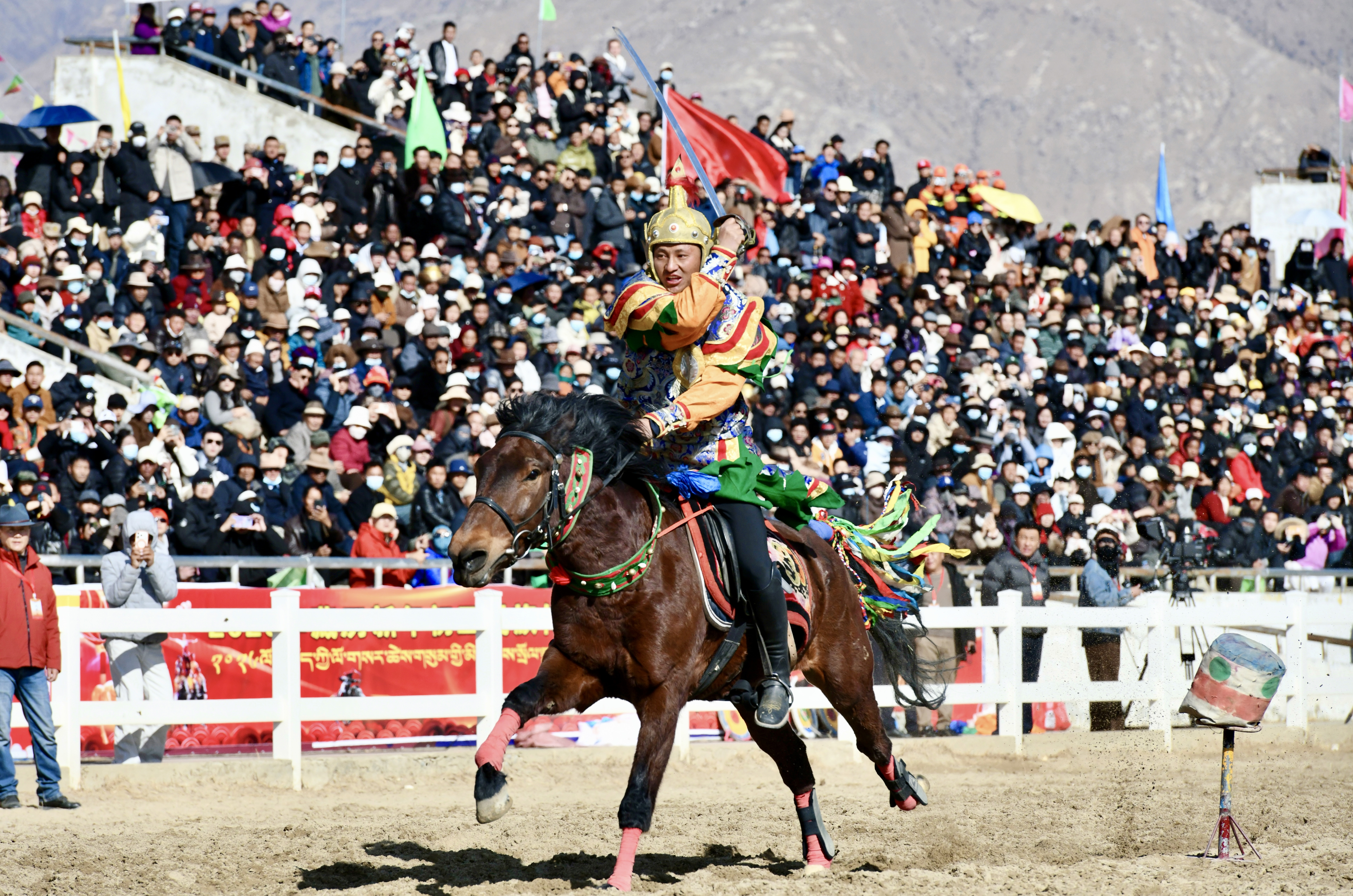 策马庆新年 奔腾启新程
