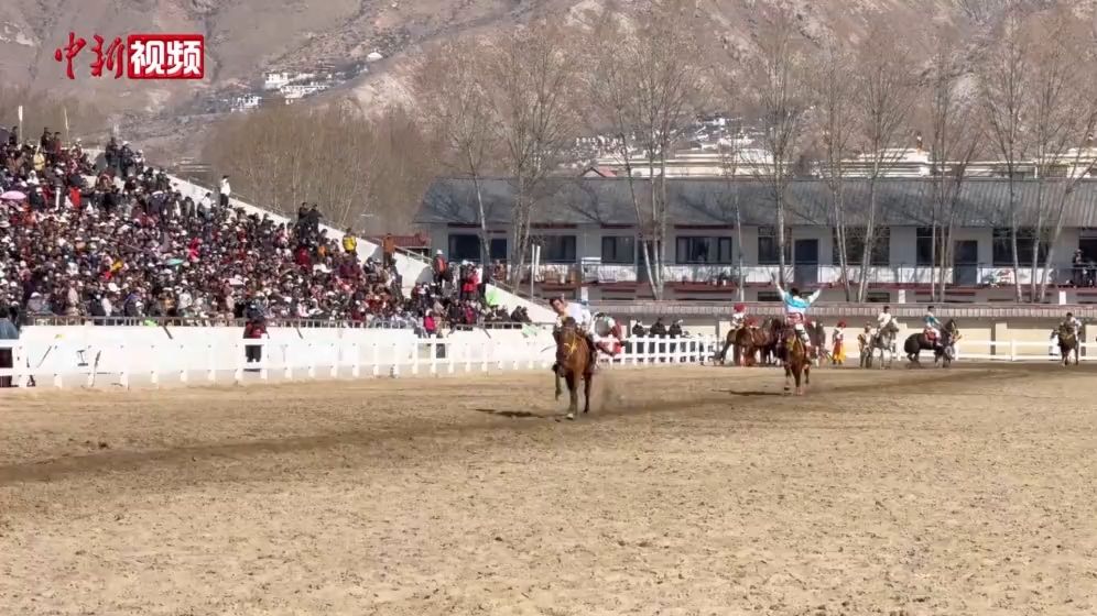 藏历新年初三 拉萨上演民族传统马术表演