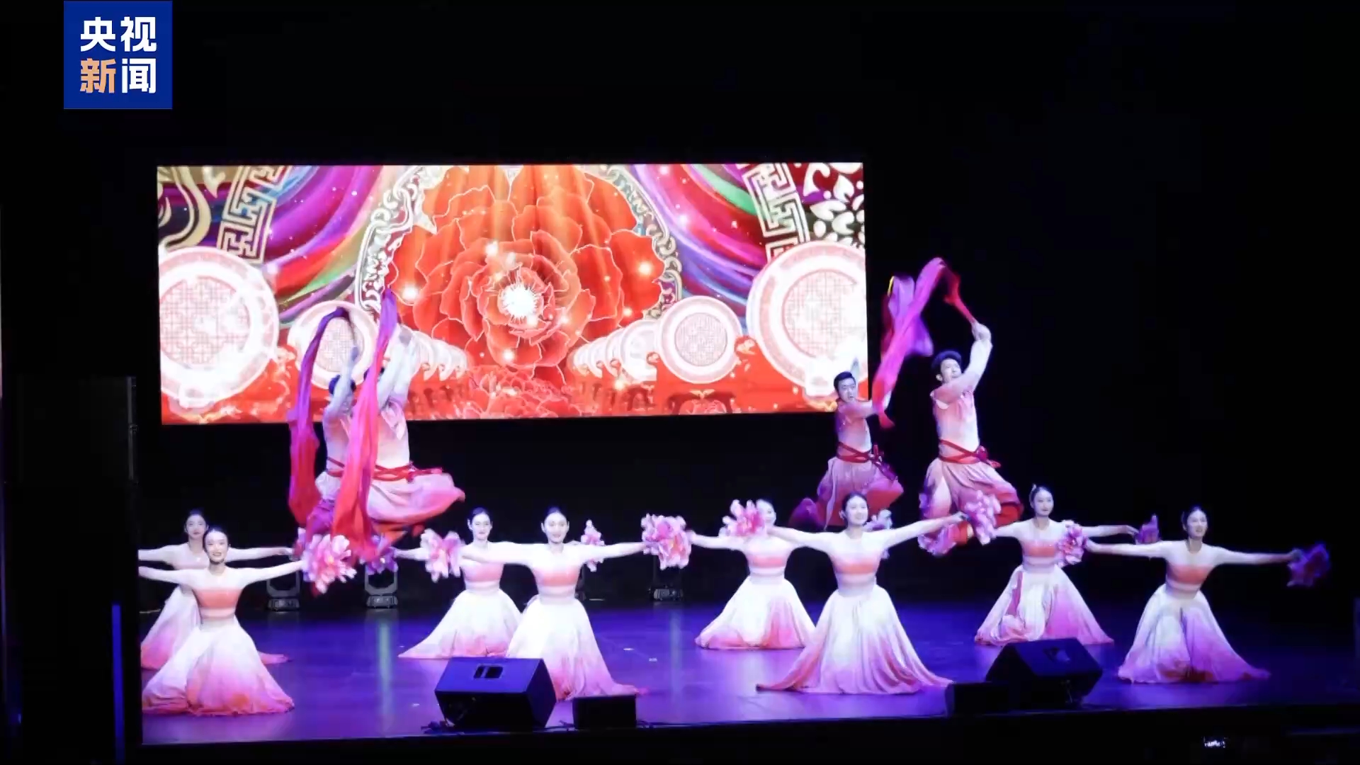 视频丨看演出 品民俗 多国举行活动共庆马年新春