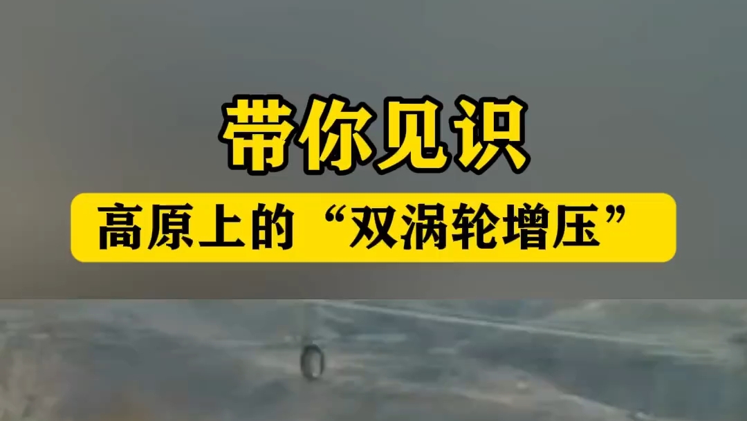 西藏双牛耕地动力十足