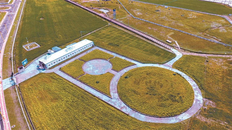 藏北高原有个草业科技小院