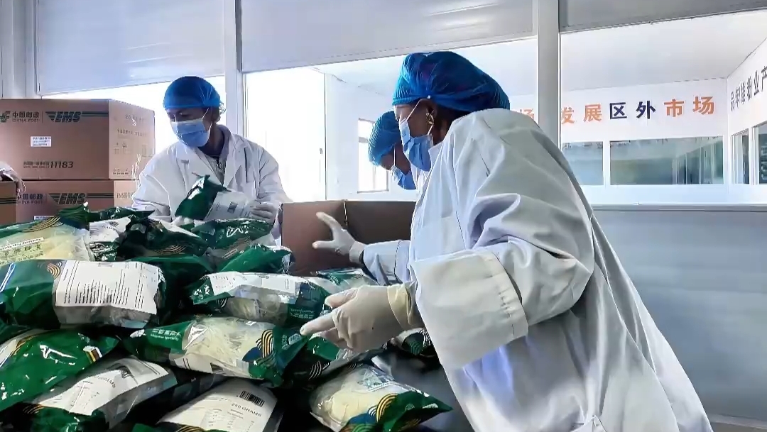 南木林豌豆粉条出口南亚