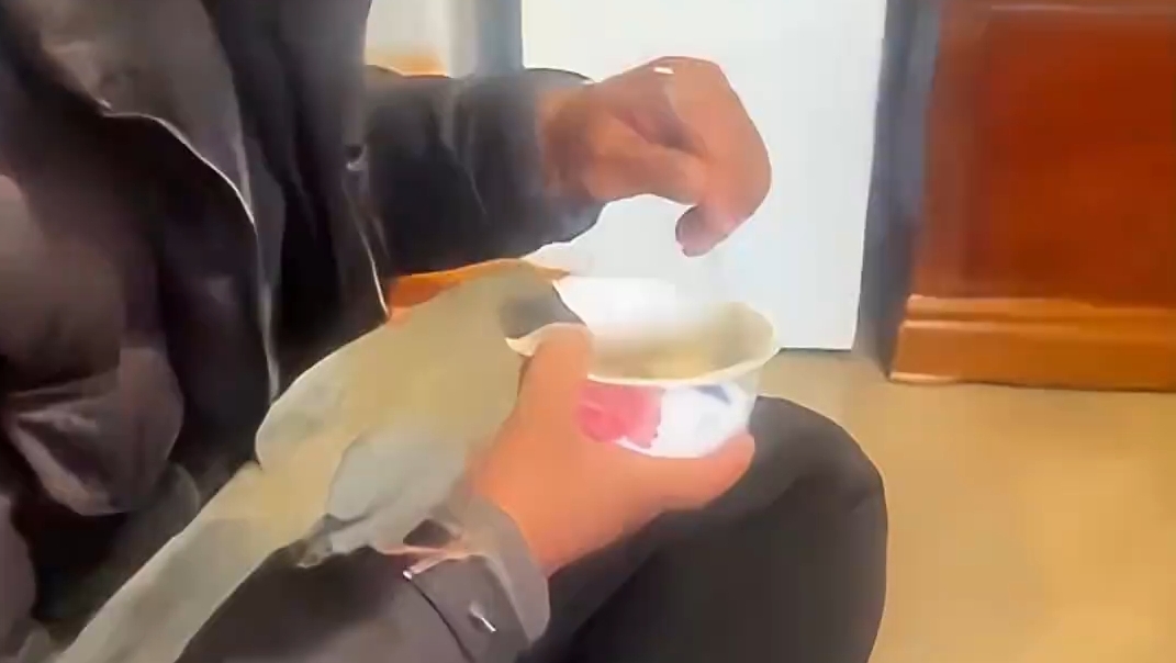 爱吃糌粑的小鸟