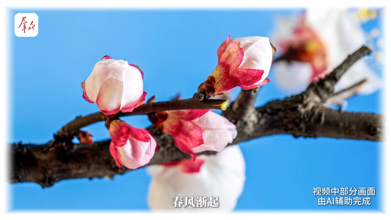 整“活”了！2026全国两会，陕西文物高能开麦