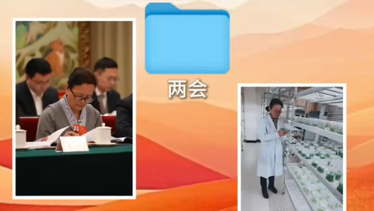 尼珍：金线莲花开拉萨，希望加快科研成果转换落地