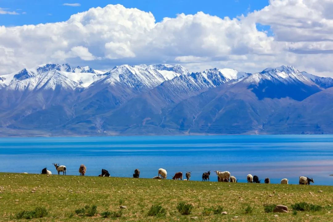 厚植生态底色 建设美丽家园
