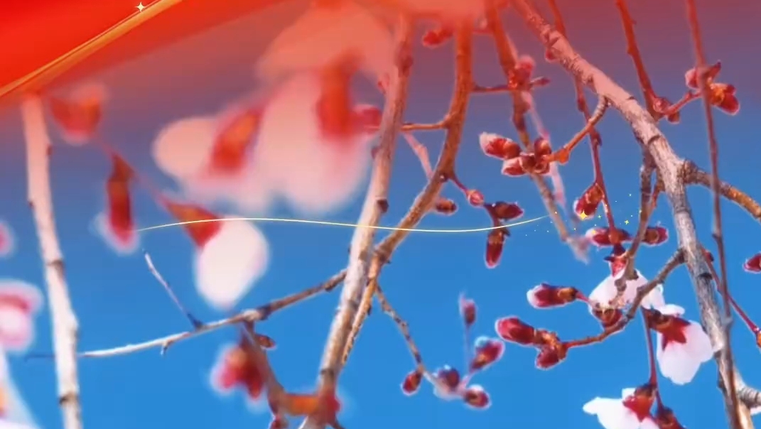 嘎拉村桃花已绽放 巴塔邀请大家到林芝