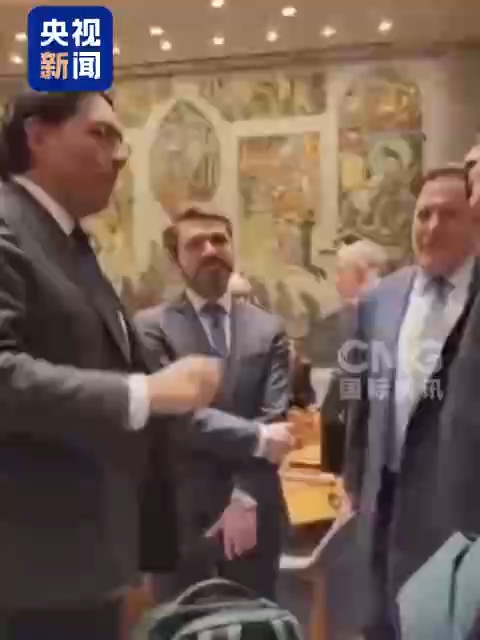 视频丨“一场大屠杀正在进行” 美学者批美以军事打击系“共同的疯狂行为”