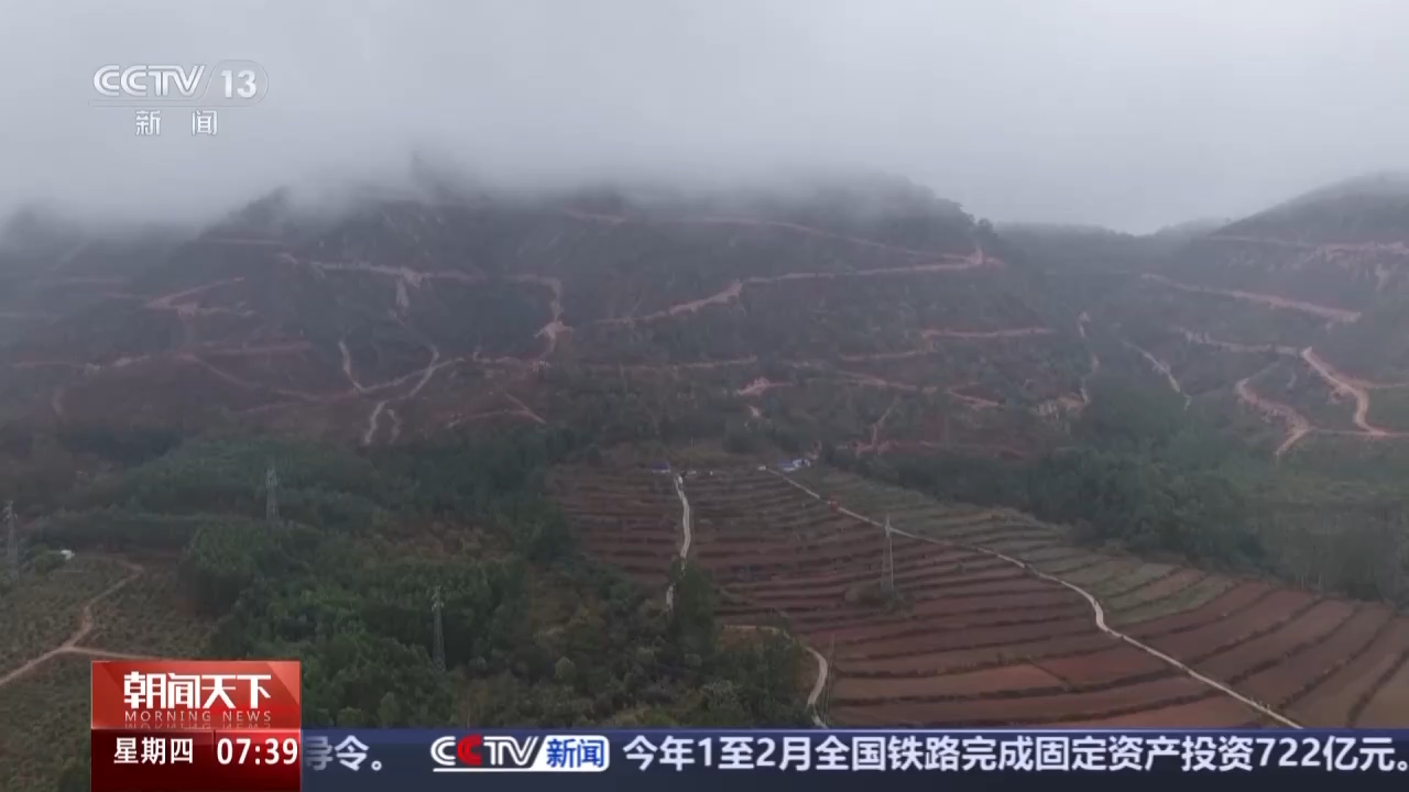 视频丨从“单一林”到“混交林” 多地推动森林精准提质