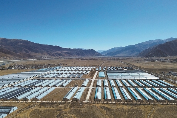 墨竹工卡县春耕备耕见闻：人勤春早农事忙 科技赋能促丰收