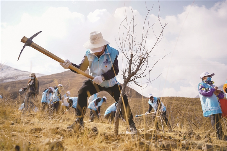 2026年计划新增营造林22万亩