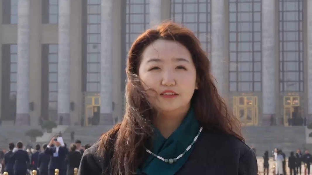 西藏全国人大代表:“学习好宣传好贯彻好会议精神”