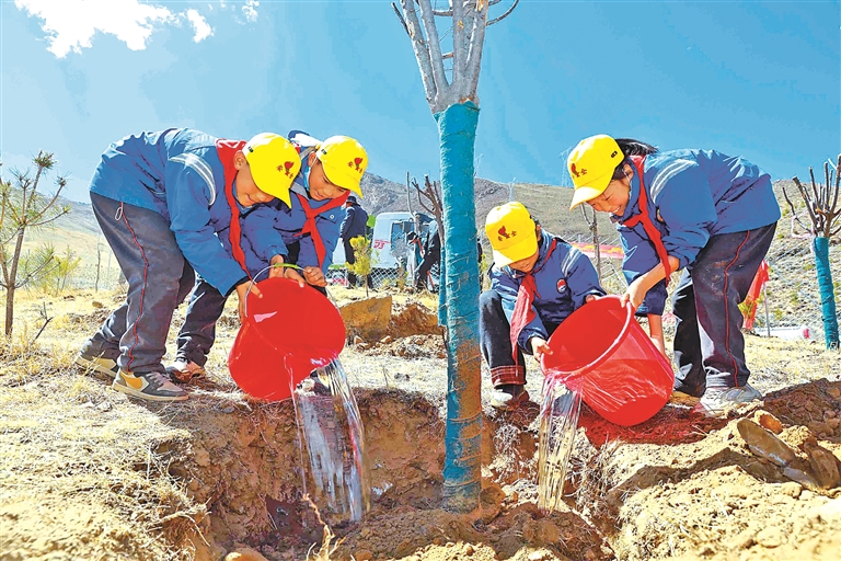 春植新绿正当时