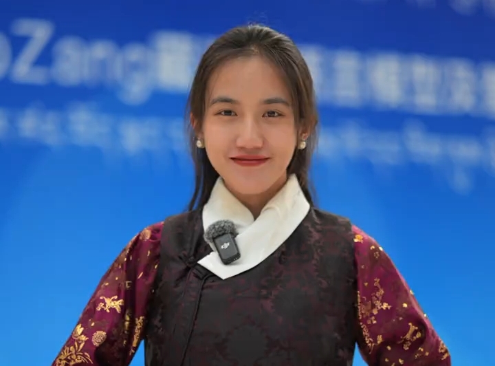 DeepZang强势来袭 快来一起丰富藏语语料库吧