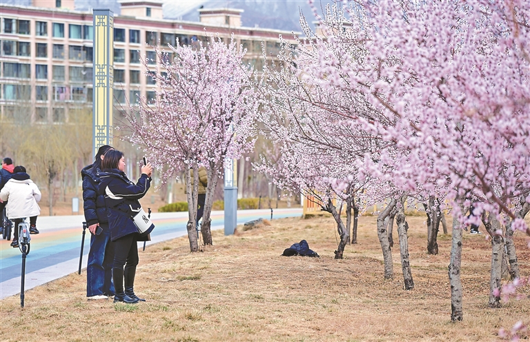 满园花香引客来