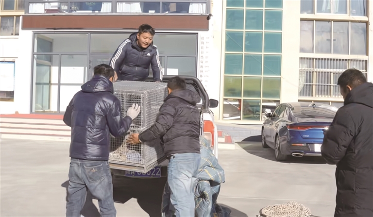 雪山萌宝平安成长！