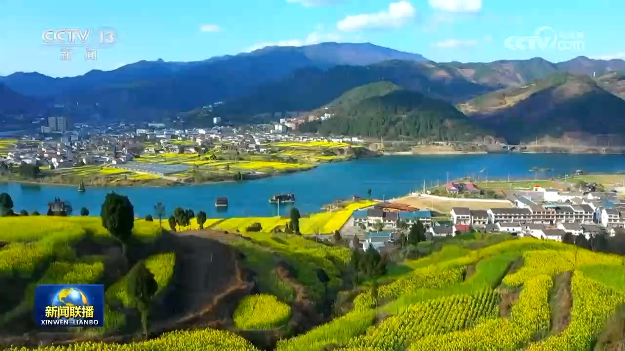 我国乡村建设行动进展显著