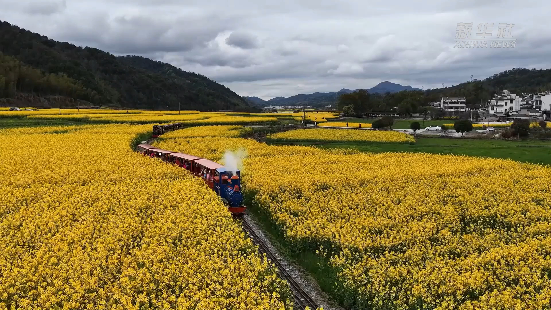 以花为媒 激活“美丽经济”新动能