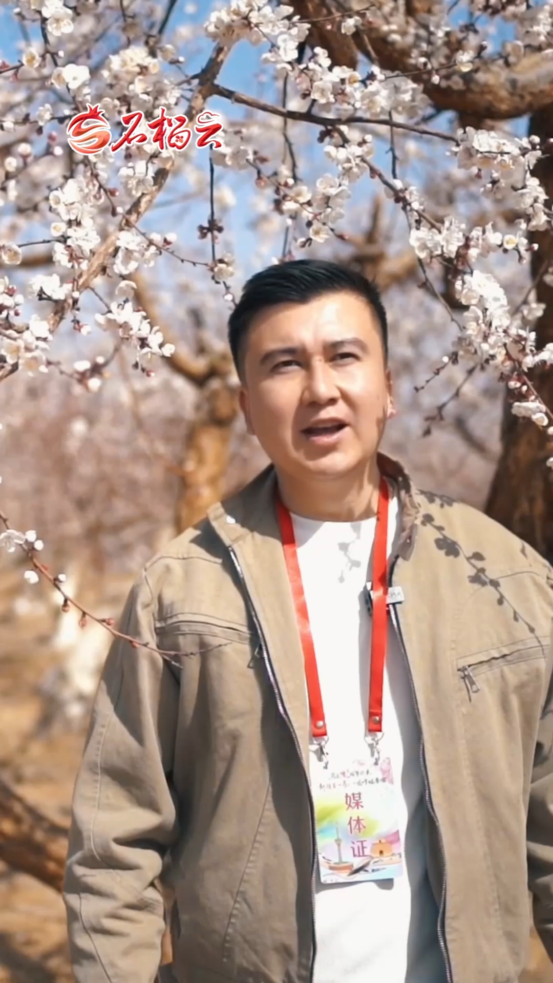 记者Vlog｜因为这朵杏花 托克逊的村民在家门口挣钱花