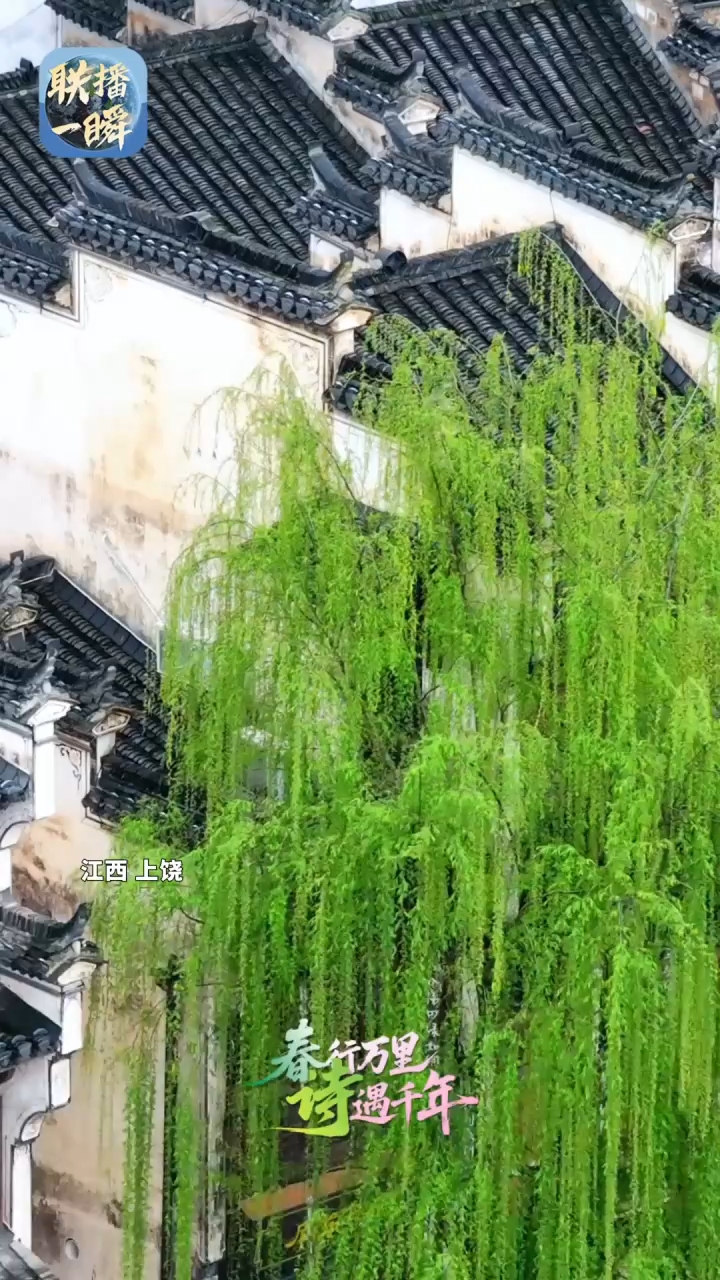 文化中国行·联播一瞬丨古诗词中的春日美景，藏不住了