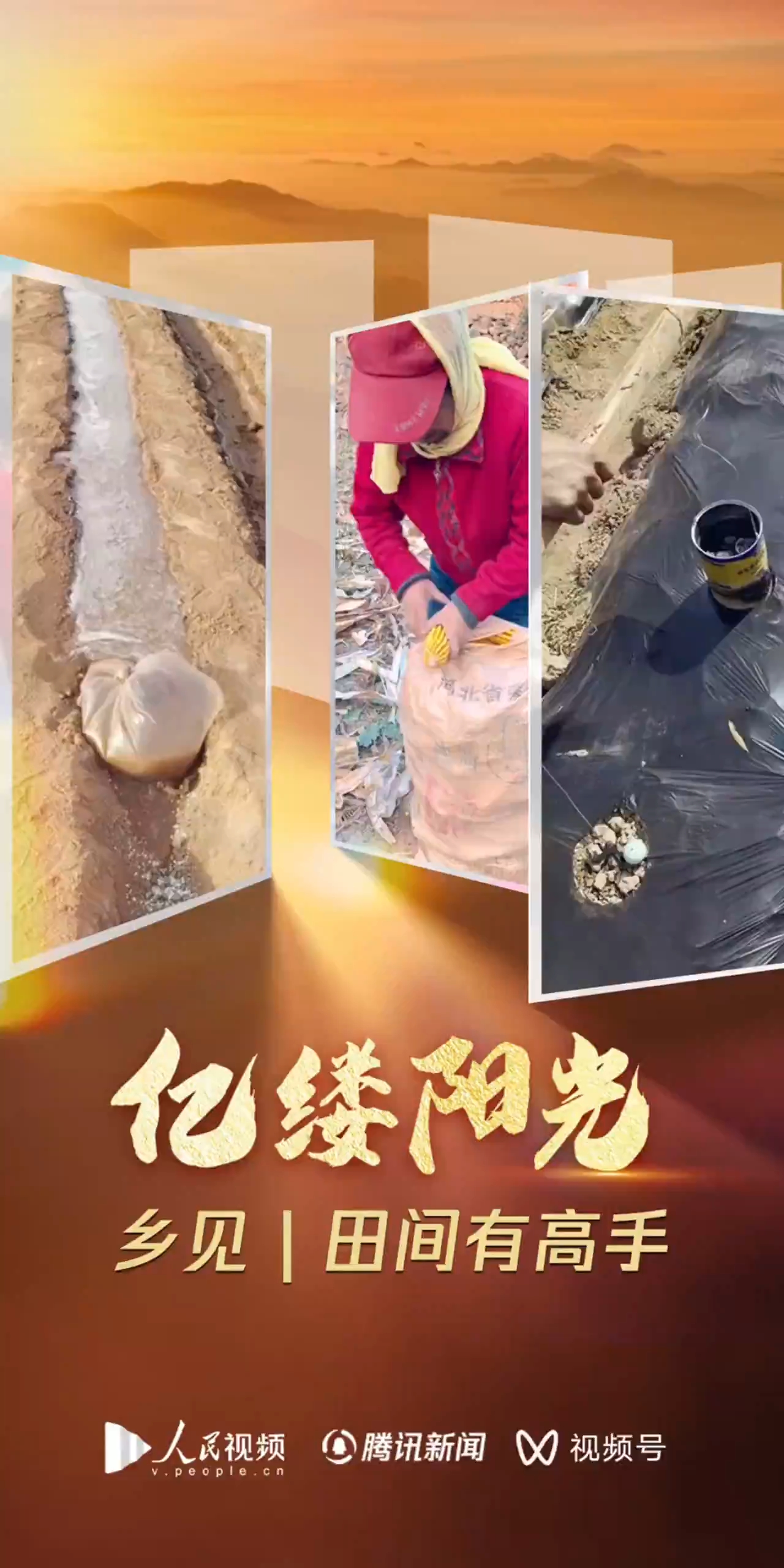 亿缕阳光·乡见|田间有高手