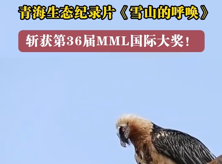 《雪山的呼唤 》斩获第36届MML国际大奖