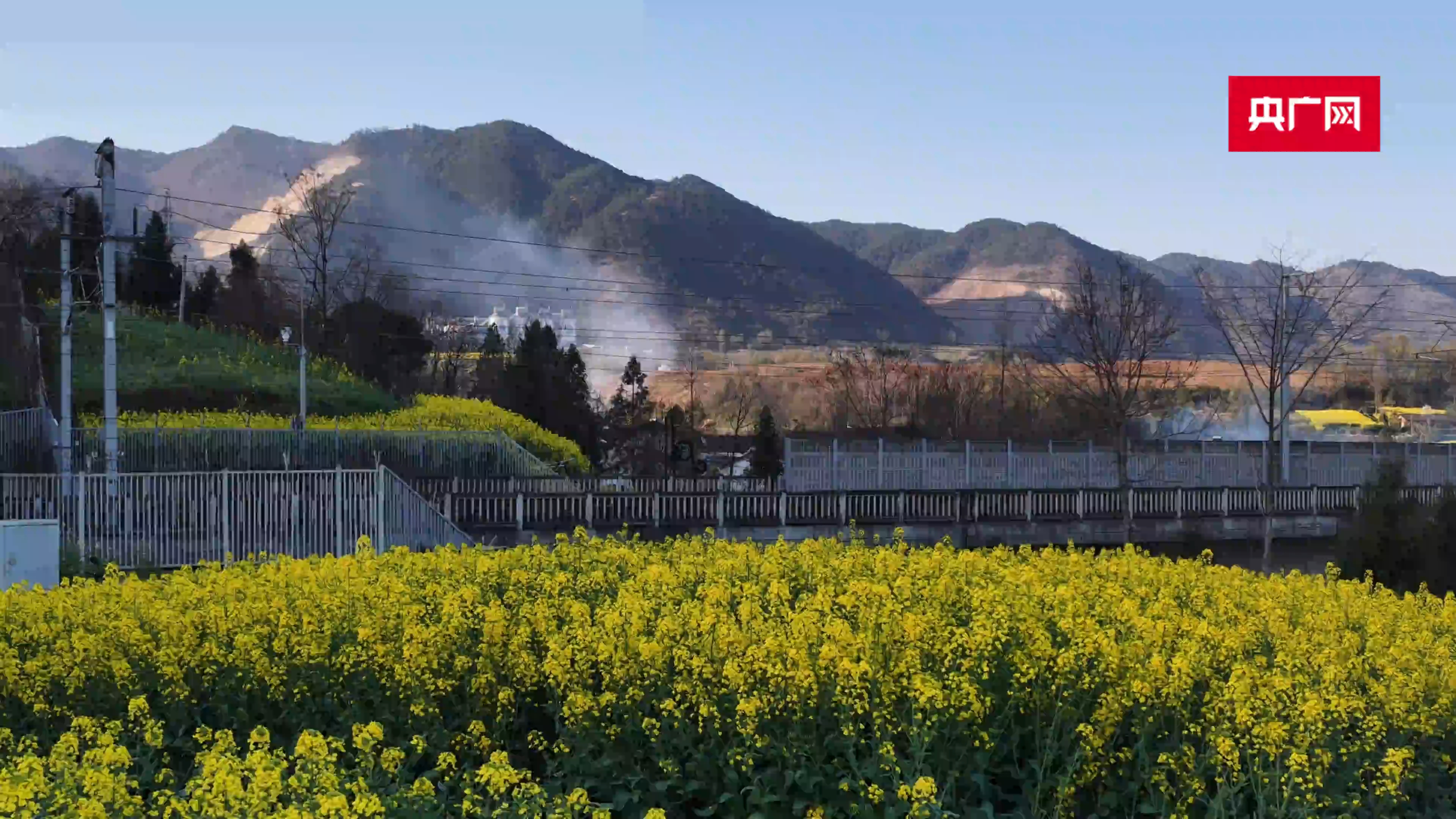 春日里的中国|陕西汉中万亩油菜花盛开 秦巴山间春意正浓