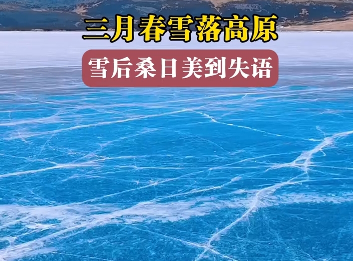 三月春雪落高原，雪后桑日美到失语