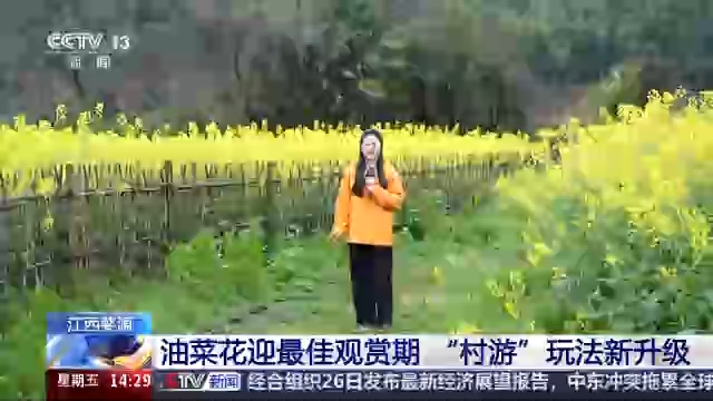 视频丨“村游”玩法新升级 赏花经济激发古村旅游产业活力