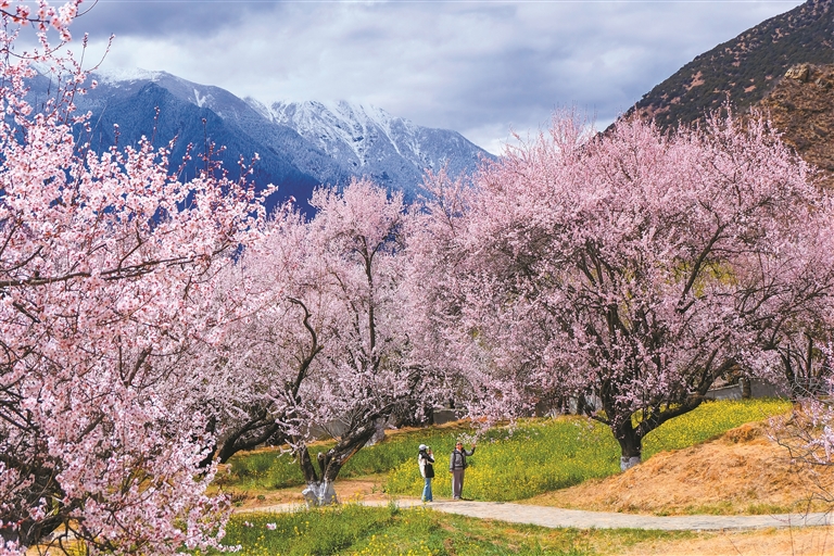 春到拉萨花似锦