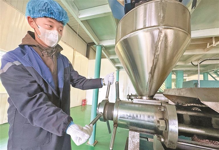 厚植“三农”沃土 夯实产业根基