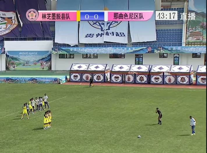 “桃花杯”！那曲色尼区足球队！冠军！