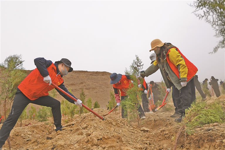 扎果村植树点开展春季义务植树活动