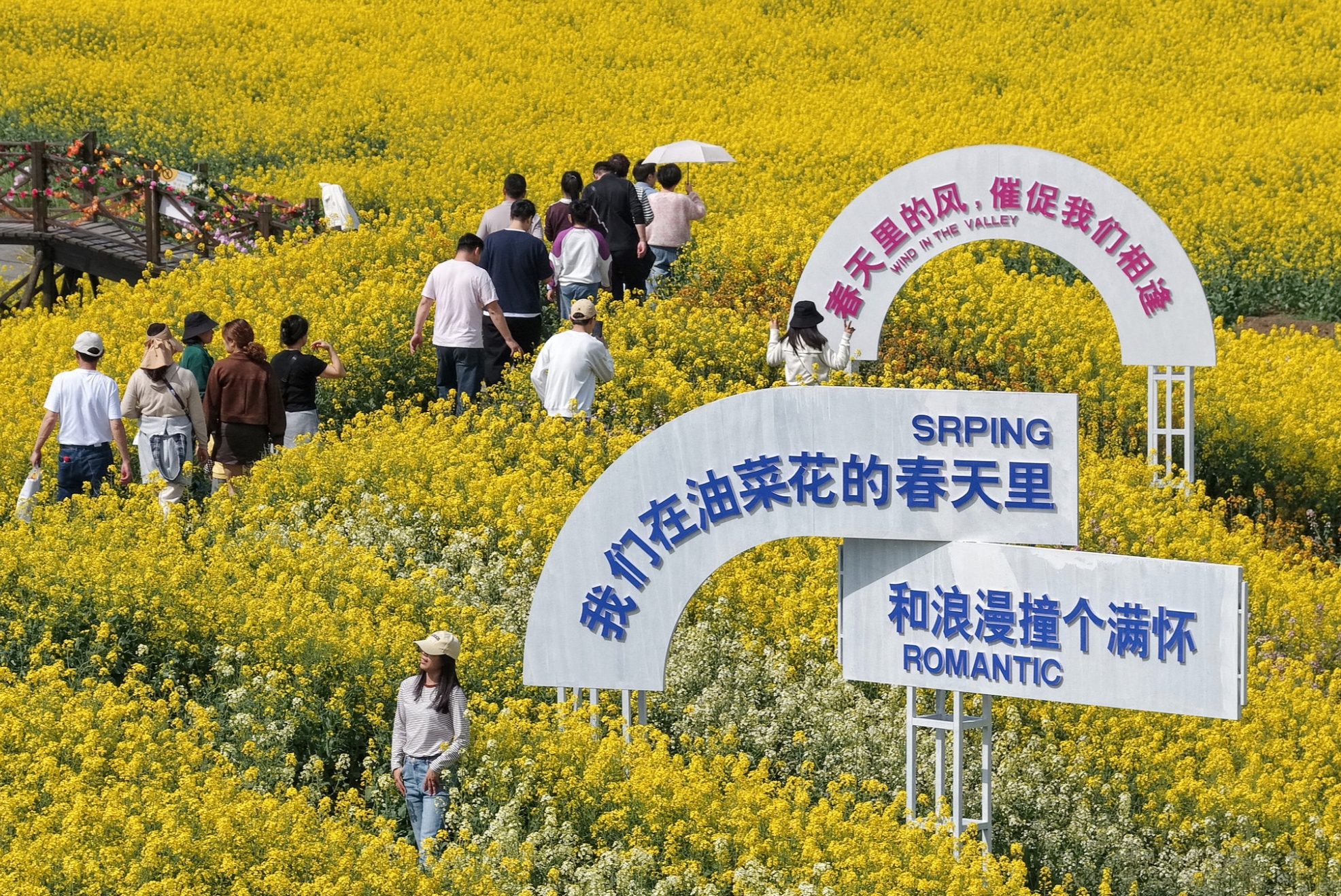 “赏花+”正当时！多元体验解锁春日消费新活力