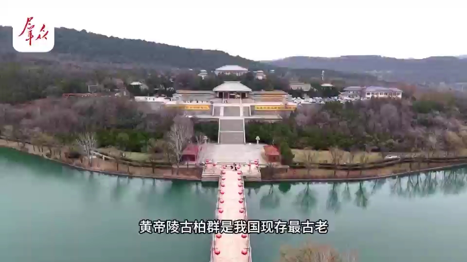20棵超3000年古柏有了“电子身份证”