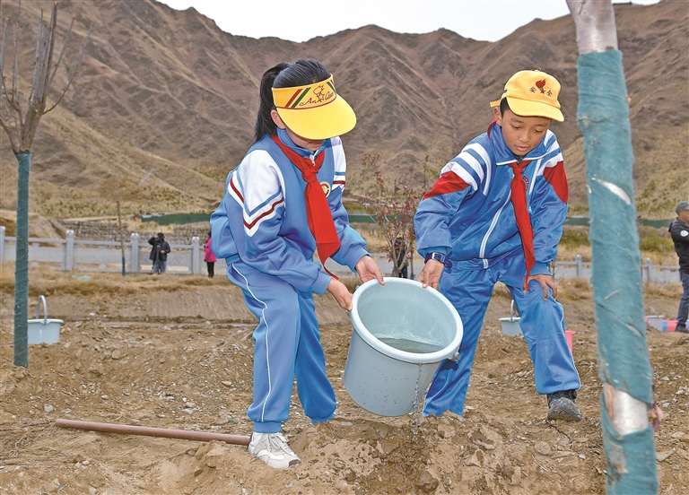 不负好春光 高原植树忙