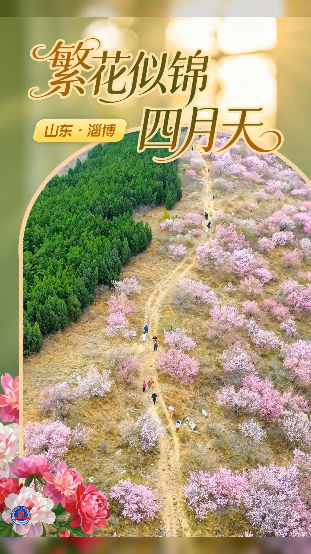 海报丨繁花似锦四月天