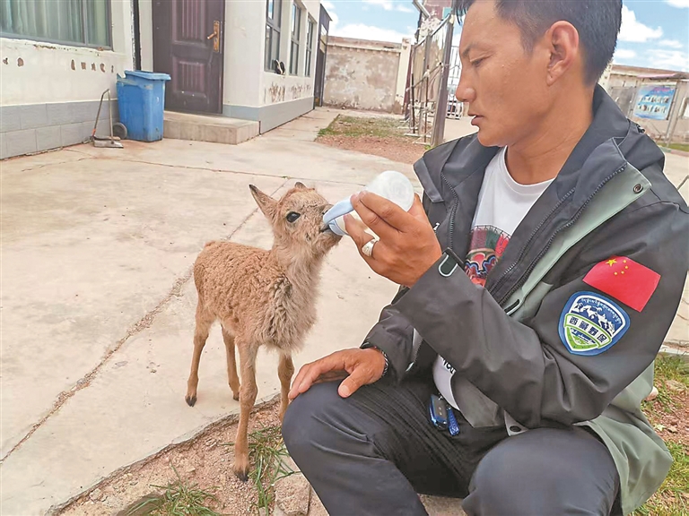 织密生态保护网 打造安全栖息地