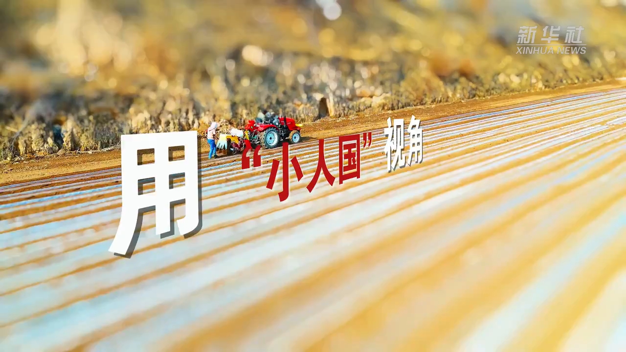 看移轴镜头下的春耕