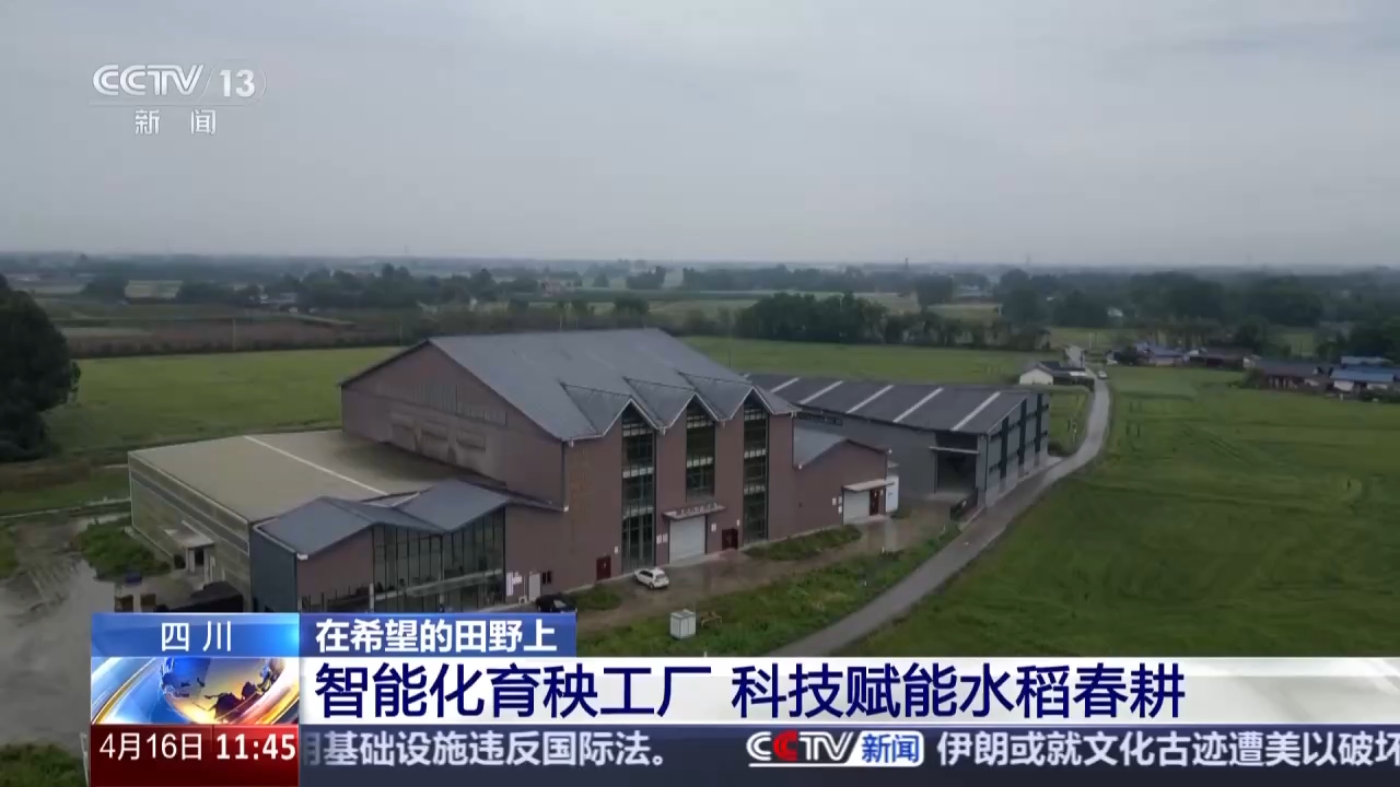 视频丨智能化育秧、无人机施肥、机器播种 “智慧春耕”正在进行中