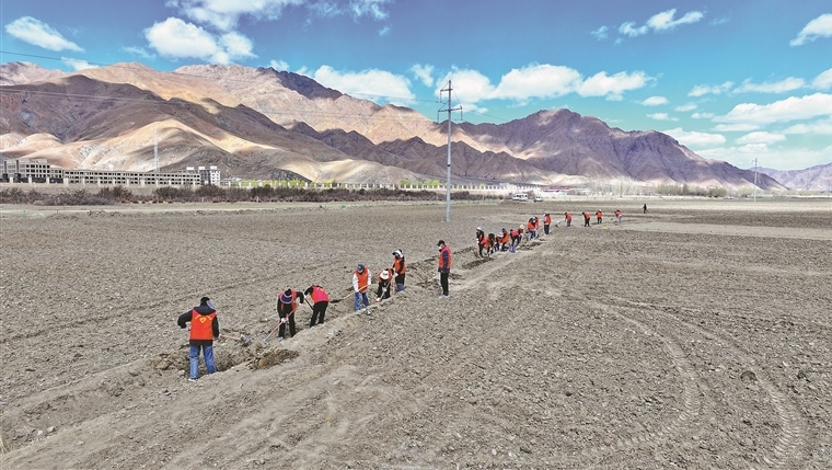 春潮涌动 春耕正忙