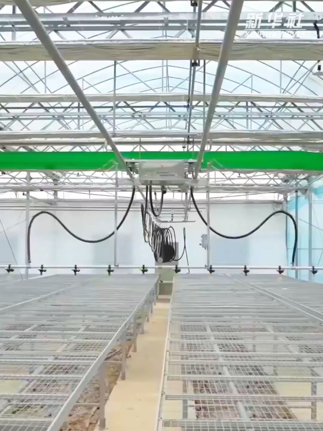 春播春管进行时——各地农业高质量发展一线观察