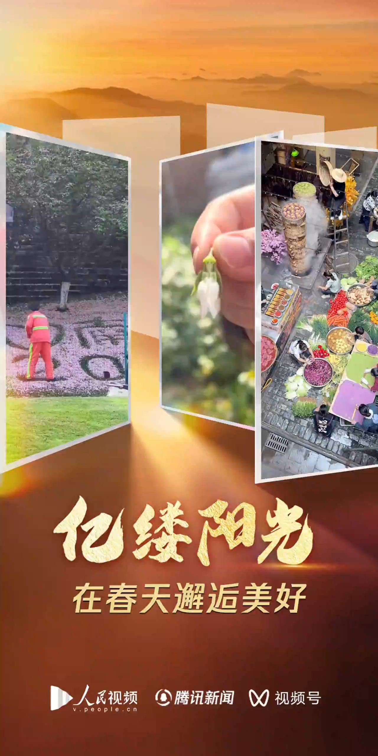 亿缕阳光｜在春天邂逅美好<br>